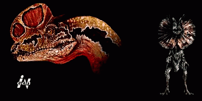 Dilophosaurus wetherill